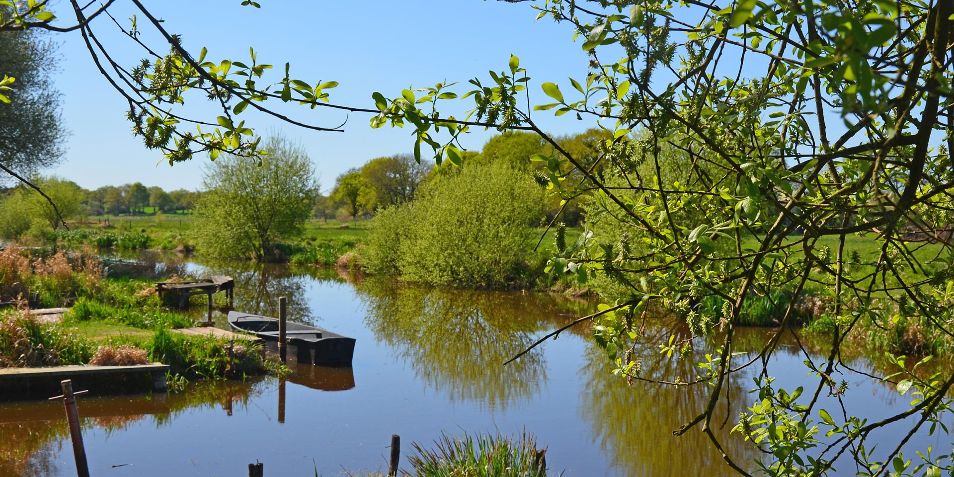 Discover Nature Stunning Saint Nazaire