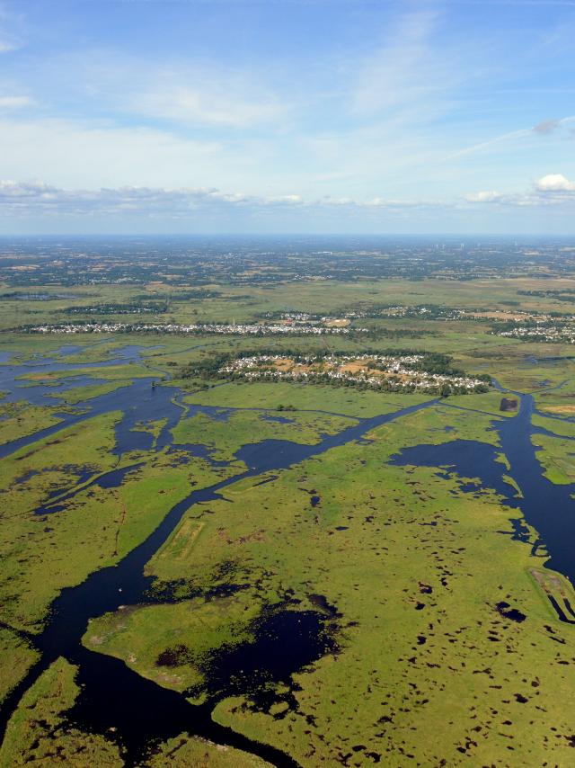 Parc naturel régional de la Brière