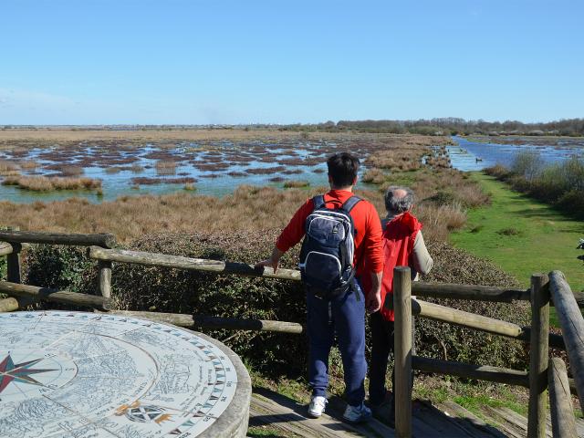 escapade-nature--piedak-snat.jpg