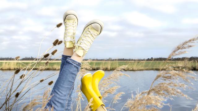 Campagne parc naturel régional de Brière Saint-Nazaire Renversante