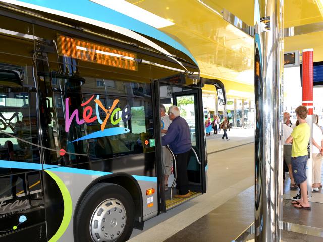 bus-hlycedominique-macel.jpg
