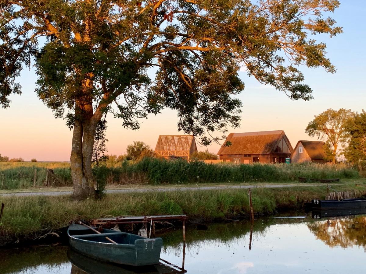 Brière Regional Natural Park | Stunning Saint-Nazaire