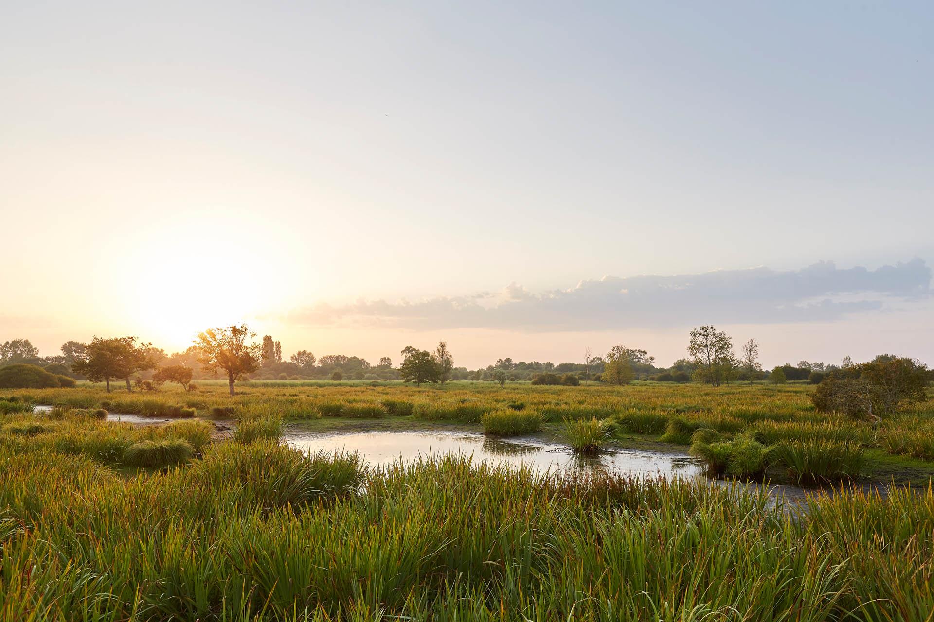Parc naturel régional de Brière SaintNazaire Renversante