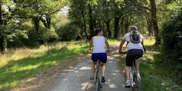 La briere en velo outlet