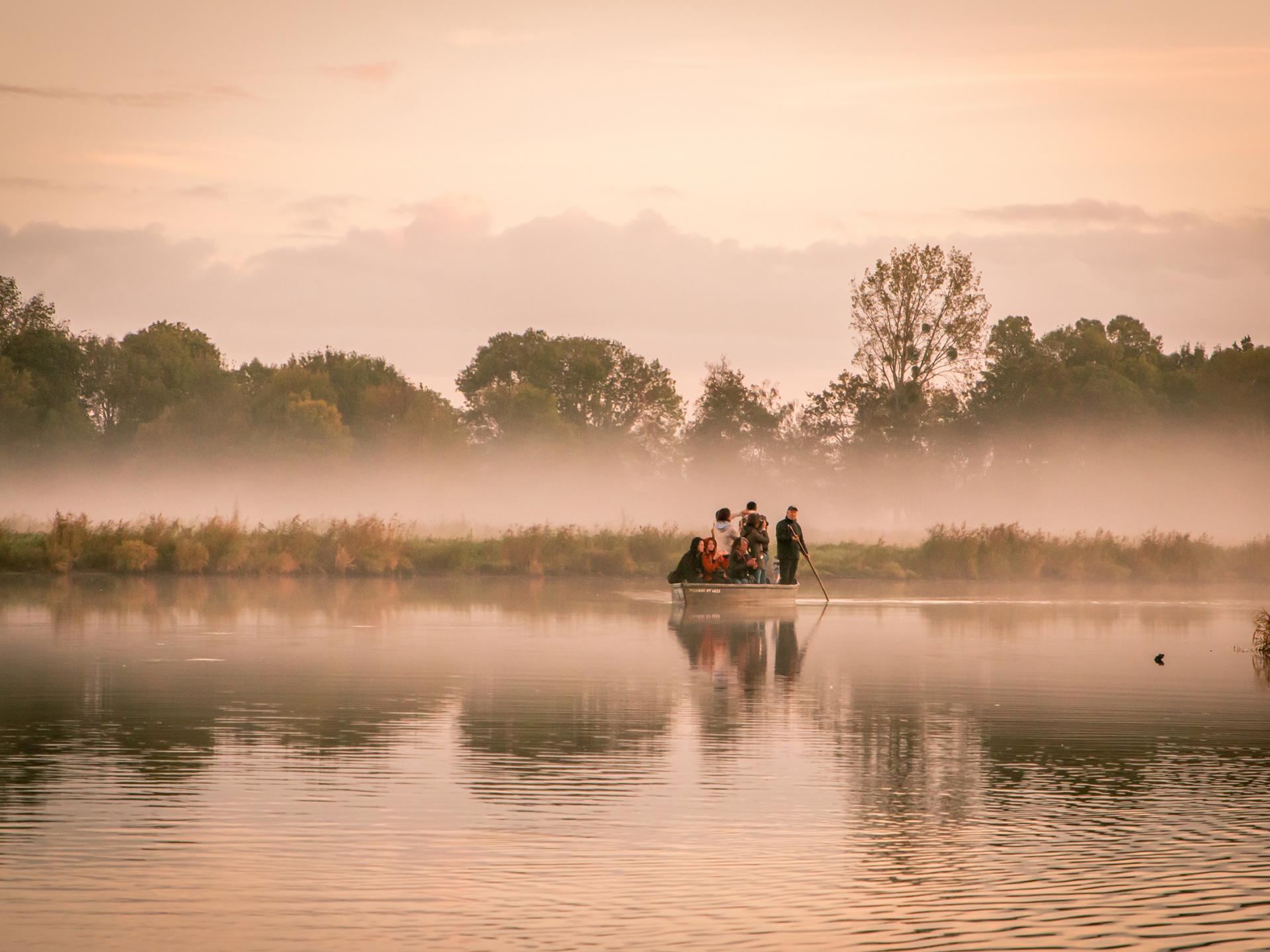 Brière Regional Natural Park | Stunning Saint-Nazaire