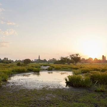 Le Parc naturel régional de Brière, les incontournables