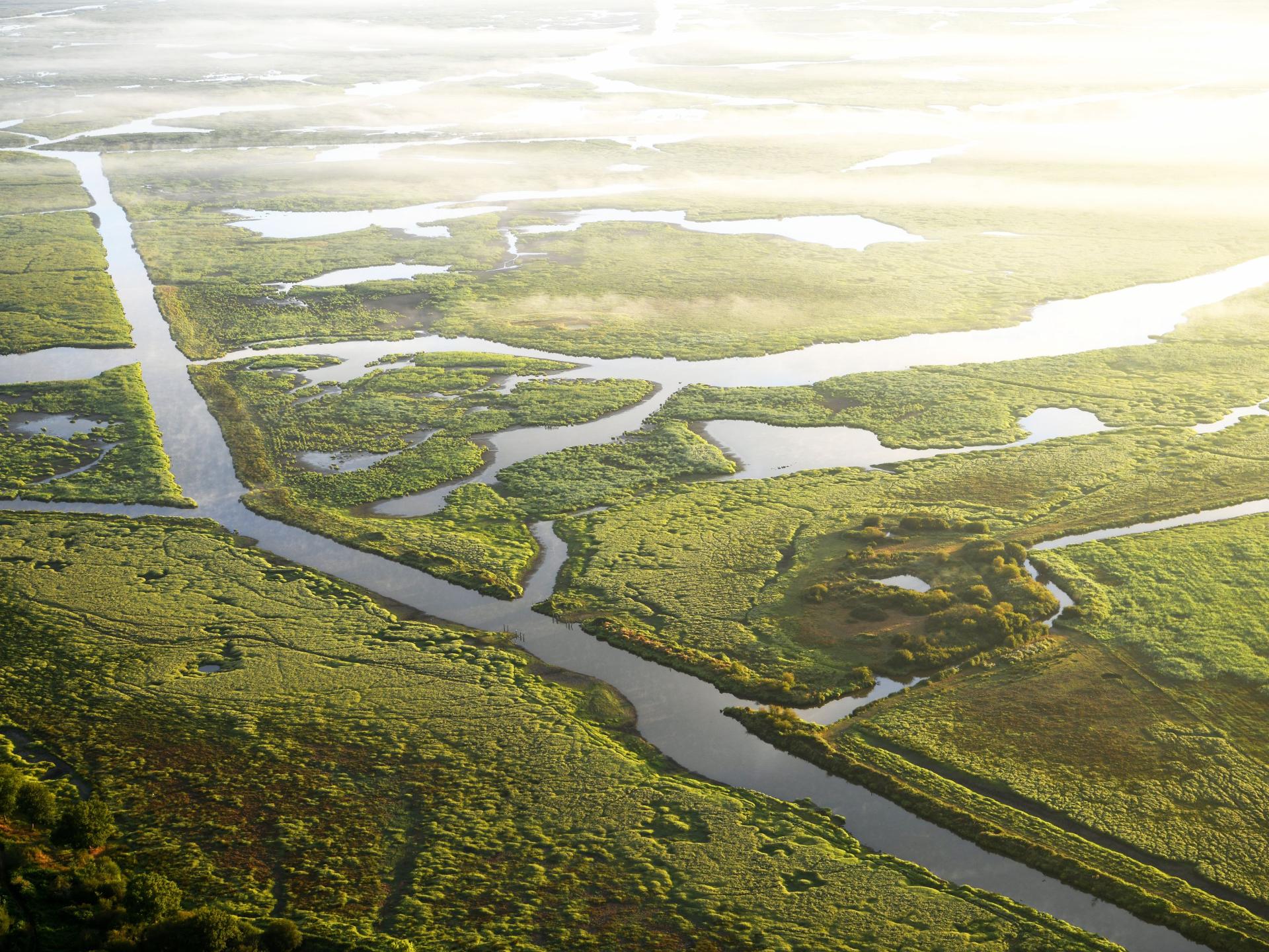 SaintAndré des Eaux SaintNazaire Renversante