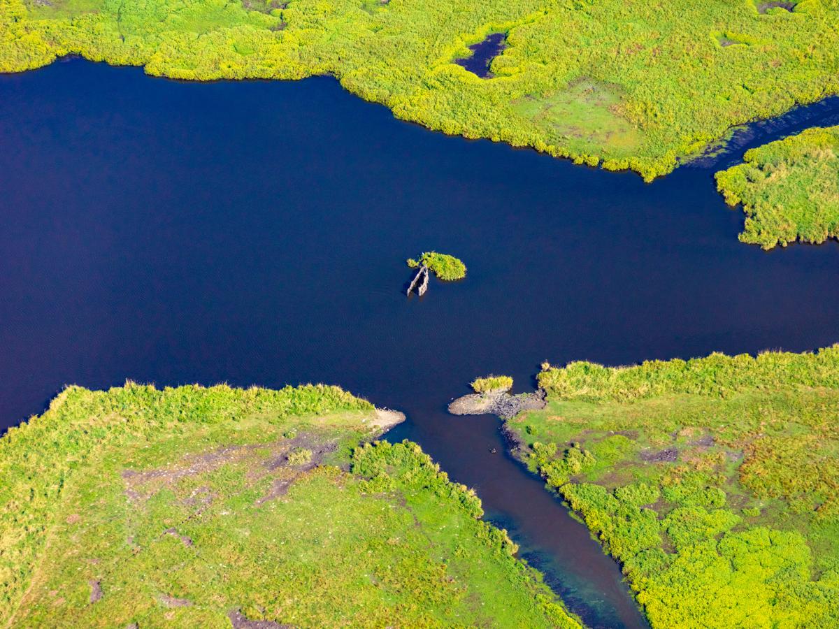 Le Parc naturel régional de Brière, les incontournables