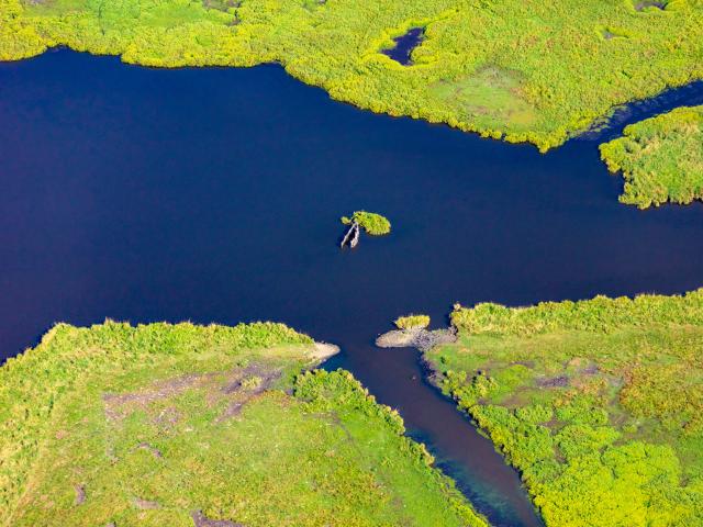 Parc Regional De Briere 9 2019©arnaud Dréan
