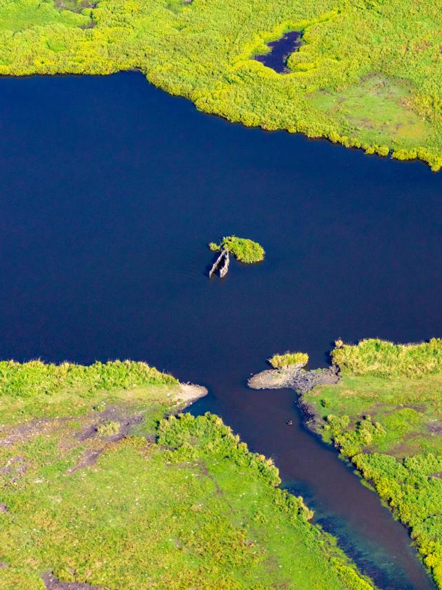 Parc Regional De Briere 9 2019©arnaud Dréan