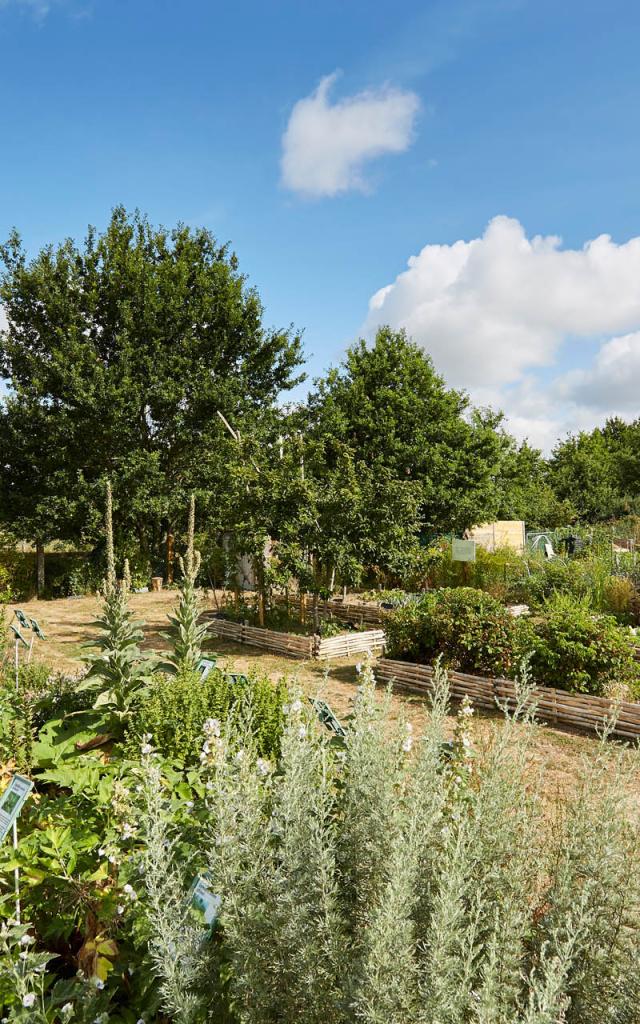 Jardin médiéval des caves à Montoir-de-Bretagne