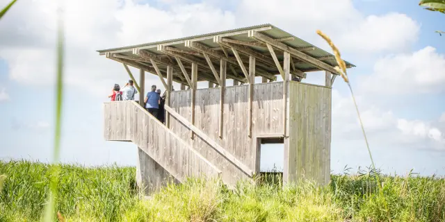 Observatoire Pierre Constant Briere 2