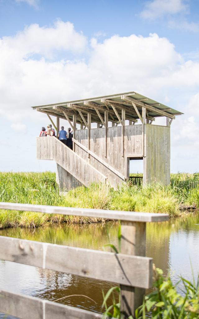 Observatoire Pierre Constant Briere 1