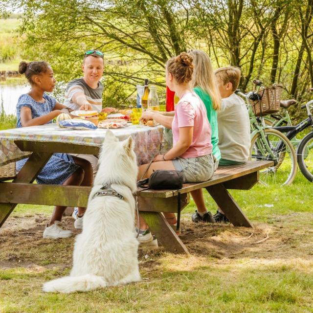 Pique-nique-Brière-Chaussée-Neuve-chien-2023