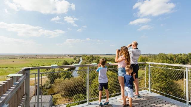 Vue sur les marais de Brière depuis le belvédère de Rozé