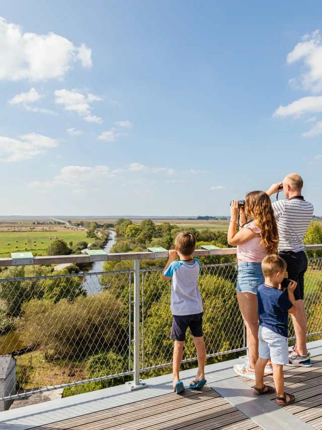 Vue sur les marais de Brière depuis le belvédère de Rozé