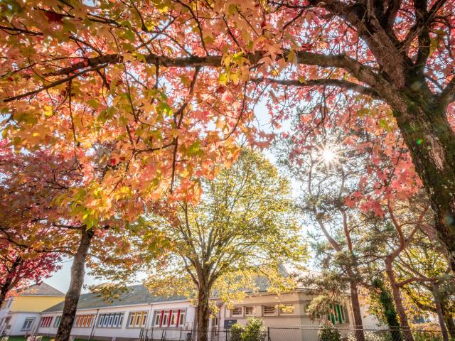 Saint-Nazaire en automne