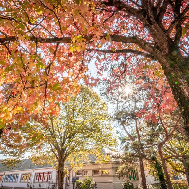 Saint-Nazaire en automne