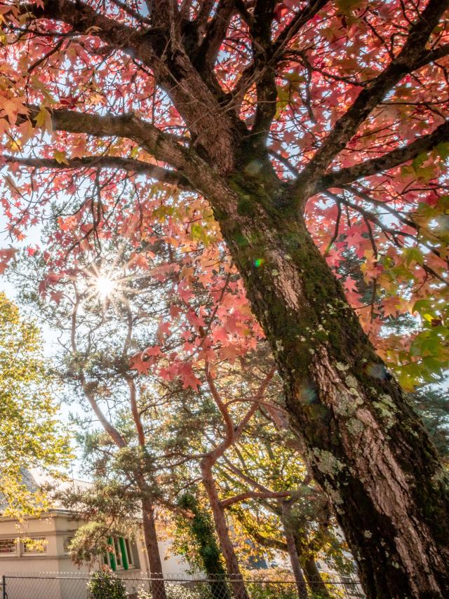 Saint-Nazaire en automne