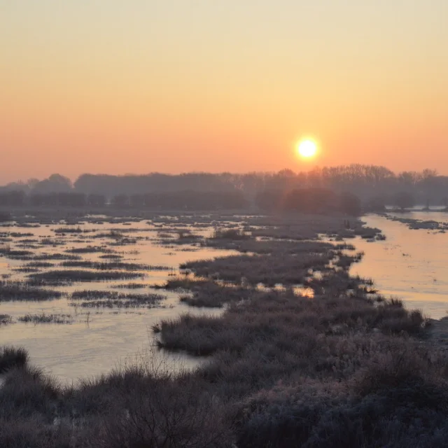 Lever de soleil à La Chaussée Neuve en hiver, Brière