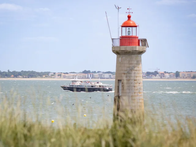 Phare de Villès-Martin et croisière découverte