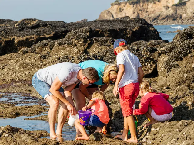 Plage de Monsieur Hulot