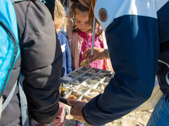 Pêche à pied en bord de mer avec Echos Nature