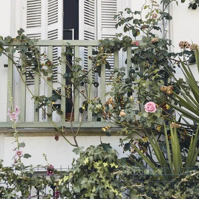 La Havane Alexandre Lamoureux 2019 08 12 Hd